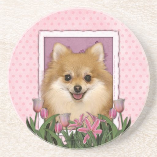 Jour de mères - tulipes roses - Pomeranian Dessous De Verre
