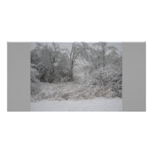 jour neigeux photocartes