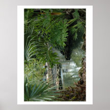 Jour venteux en Floride Posters