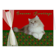Joyeuses Fêtes Cartes De Vœux