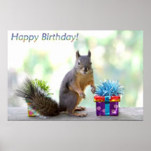 Joyeux anniversaire d'écureuil ! posters
