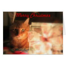 Joyeux Noël Carte De Vœux