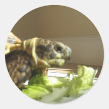Juan Carlos de Schildpad! Sticker