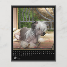 juillet 2012 calendrier prospectus