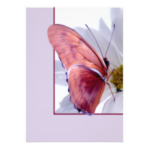 Julia Butterfly Persoonlijke Aankondiging