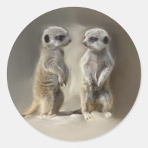 Jumeaux de bébé de Meerkat Autocollants