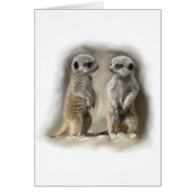 Jumeaux de bébé de Meerkat Carte