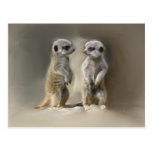 Jumeaux de bébé de Meerkat Carte Postale