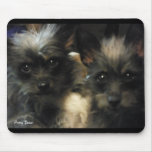 Jumeaux Tapis De Souris