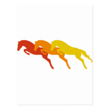 jumping horses carte postale