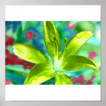 jungle affiches