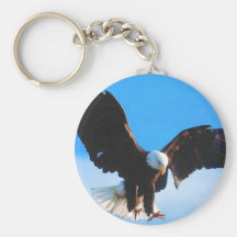 Kaal Amerikaans Eagle Sleutel Hanger