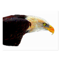 Kaal Eagle Visitekaartje