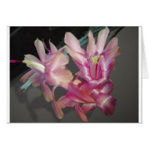 Kaart, bloemen
