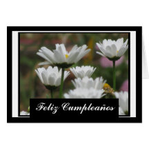 Kaart - Feliz Cumpleaños - Margaritas Blancas
