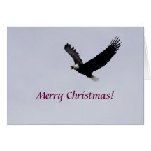 Kaart/Kerstmis Eagle tijdens de vlucht