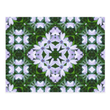 Kaléidoscope bleu de Phlox Cartes Postales