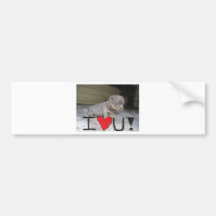 Kalverliefden u bumpersticker