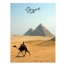 kameel piramide wenskaart