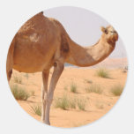 Kameel voor de Stickers van Arabieren