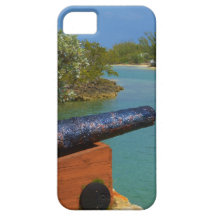 Kanonskogel!!! iPhone 5 Hoesje