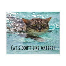 Kat die Verpakt Canvas zwemmen Stretched Canvas Print