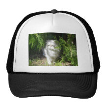 Kat in het gras trucker petten