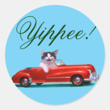 Katje in een Convertibel Rood Ronde Stickers