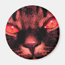 Katten oog Rode Magneten