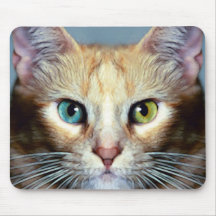 Katz Tapis De Souris