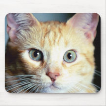 Katz Tapis De Souris