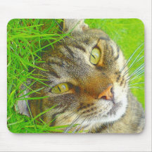 Katz Tapis De Souris