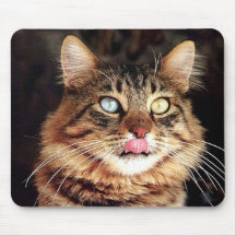katz tapis de souris