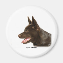 Kelpie australien 9P24D-134 Aimants