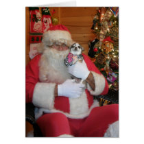 Kerstman & Chihuahua kaarten