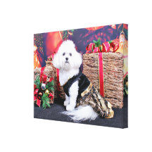 Kerstmis - Bichon Frise - Mia Canvas Afdrukken