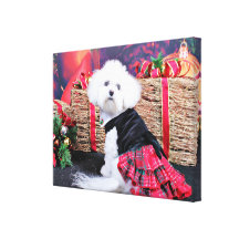 Kerstmis - Bichon Frise - Mia Canvas Print