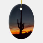 Kerstmis in Arizona Ornament