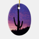 Kerstmis van Arizona Ornamenten