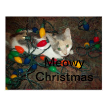 Kerstmis van Meowy Wens Kaarten