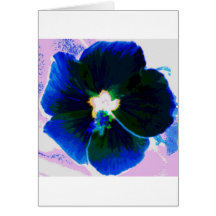 Ketmie Azul Carte