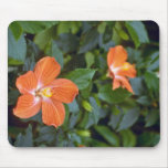 Ketmie Syriacus Coeur (rose de Sharon) pi créole Tapis De Souris