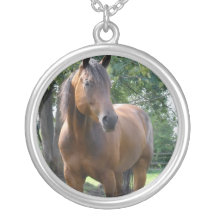 Ketting van het Paard van de baai het Volbloed-