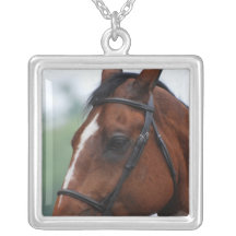 Ketting van het Profiel van het Paard van het kwar