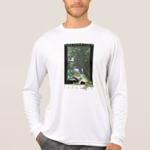 kikker shirt