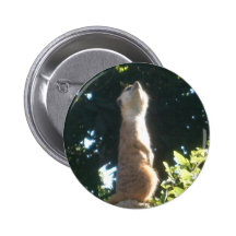 king1 badges avec agrafe