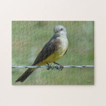 Kingbird B0032 occidental Puzzle