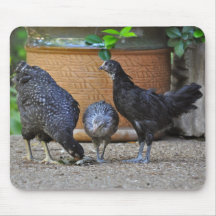 Kip Mousepad Muis Mat