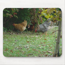Kippen & Struiken Muis Mat