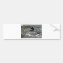 Kitesurfer3 Adhésif Pour Voiture